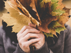 Солнечная погода ожидает ростовчан на этой неделе