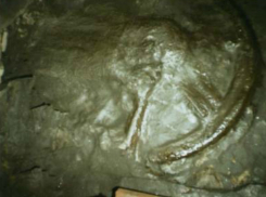 Запретная археология: оставленный 300 миллионов лет назад отпечаток колеса обнаружили в шахте Ростовской области