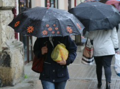 Дождливый и прохладный субботний выходной обещают синоптики жителям Ростова