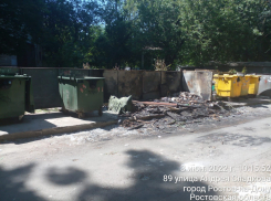 В Ростове дети сожгли четыре мусорных бака, играя с тополиным пухом