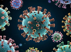 На Дону увеличился риск подхватить энтеровирусную инфекцию