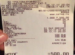 Полчаса парковки в аэропорту Платов обошлись ростовчанину в 500 рублей