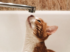 На Западном и в центре Ростова с 12 по 25 мая отключат горячую воду