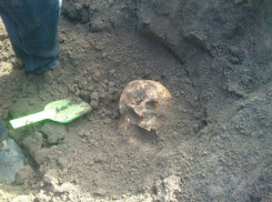 Останки пропавших без вести солдат из Казахстана обнаружили под Ростовом