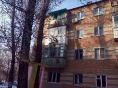 Ростовчане выкидывают сосны с балконов многоэтажек