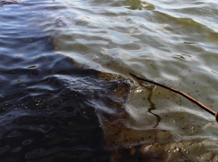 Спасателям удалось ликвидировать огромное нефтяное пятно в Северном водохранилище Ростова