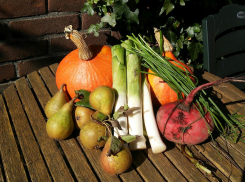 Лунный календарь садовода и огородника с 4 по 11 октября