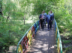 На обследование рощи «Дубки» в Таганроге выделили деньги