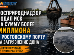 Росприроднадзор подал иск на сумму более миллиона к ростовскому порту за загрязнение Дона