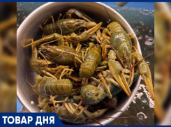 ТОВАР ДНЯ: Рак «Волга» Крупный — 1699 рублей за килограмм