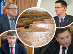 Депутаты гордумы Ростова разрешили вырубку рощи на левом берегу Дона