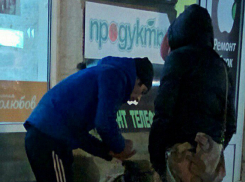 Мужчин, отбирающих деньги у собак-попрошаек в центре Ростова, возмущенные горожане поймали на фото