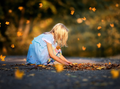 Ночью — дождь, днем — без осадков: прогноз погоды в Ростове 12 октября