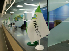 Удобный обновленный сайт компании ТНС Энерго стал доступен для жителей Ростова