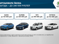 Выгодные предложения для клиентов ŠKODA от Л-Моторс в ноябре