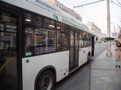 Более 200 ростовчан пожаловались на плохую работу общественного транспорта