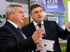 В 2020 году в Ростовской области зафиксировали аномальный рост инвестиций