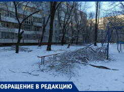 В Ростове пожаловались на не убранные с декабря упавшие ветки