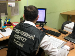 Дончанка обманом получила больше 300 тысяч рублей социальных выплат