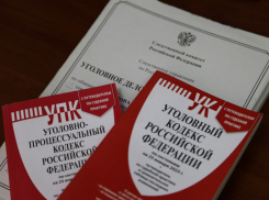 В Ростове 21-летнего экстремиста из Тобольска осудили на 19 лет 