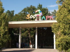  В Ростовском зоопарке появится подводный коридор 