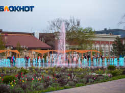 Ясная и жаркая погода ожидает ростовчан на этой неделе