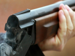 Защищая супругу, пенсионер расстрелял своего внука из ружья в Ростовской области