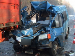 Четыре человека, в том числе годовалый ребенок, пострадали в ДТП с микроавтобусом под Ростовом