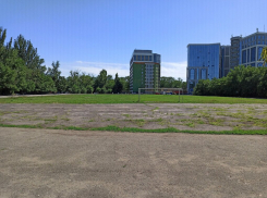 От Логвиненко потребовали наказать «Агроком» Ивана Саввиди за «графские развалины» на стадионе «Трудовые Резервы»