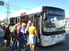 В Ростове с 1 сентября начали изучать пассажиропоток в общественном транспорте