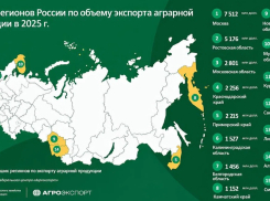 Ростовская область стала второй по агроэкспорту в стране с $5,18 млрд