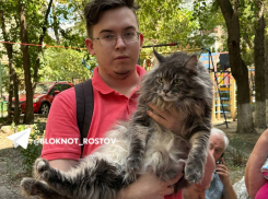 В Ростове после атаки БПЛА эвакуируют жильцов поврежденного дома