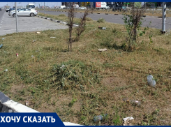 «Для очередного отчёта»: ростовчанка рассказала о том, как проходит покос сорной травы на Левенцовке