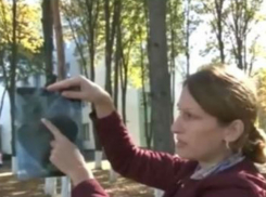 Ростовские следователи начали проверку по факту забытой в матке год назад иголки