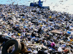 Проект рекультивации свалки в Ростове-на-Дону не прошел Главгосэкспертизу