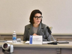 Депутата Светлану Мананкину проверяют правоохранители по подозрению в мошеннических действиях — источник 