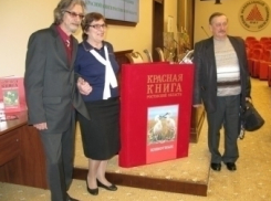 В последнюю версию Красной книги Ростовской области вошли новые виды птиц