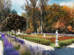 В бюджете Ростова не нашли денег на реконструкцию парка Горького в 2023 году