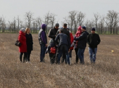 Бесплатную землю получат тысячи многодетных семей Ростовской области