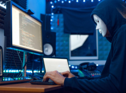 В Ростовской области резко увеличилось количество киберпреступлений