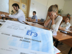 Вчерашних школьников научили быть придирчивыми наблюдателями на ЕГЭ в Ростове-на-Дону