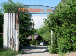 Труп бывшего сотрудника ЮФУ нашли в Ботаническом саду