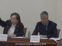 В гордуму Ростова передали две тысячи подписей против вырубки Кумженской рощи