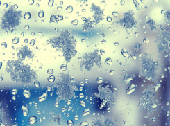 Синоптики прогнозируют дождь и мокрый снег в Ростовской области