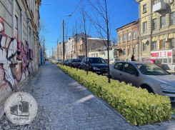 В Ростове предложили озеленить улицу Станиславского за счет пожертвований горожан