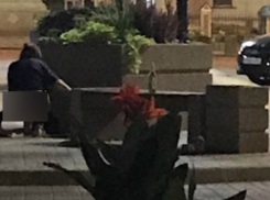 Справляющая нужду напротив собора девушка вызвала жестокое осуждение у жителей Ростова