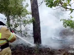В Ростовской области пожарные спасли хутор от лесного пожара