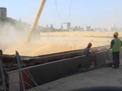 Три крупных западных зернотрейдера с активами в Ростовской области покидают Россию