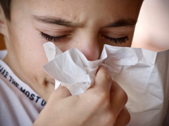 Почти шесть тысяч жителей Ростовской области заболели ОРВИ