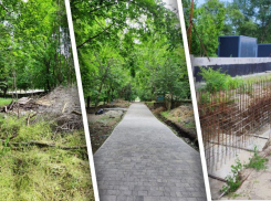 Благоустройства парка «Дружба» в Ростове-на-Дону приостановлено